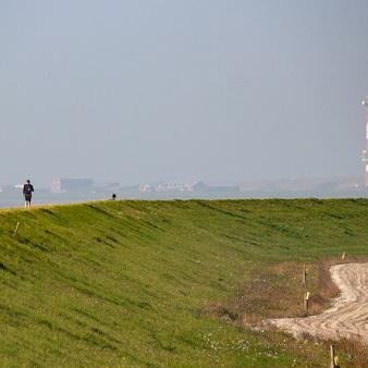 Noch nicht erhöhter Ostgrodendeich. Foto © Jennifer Beckmann (2015) Noch nicht erhöhter Ostgrodendeich. Foto © Jennifer Beckmann 2015