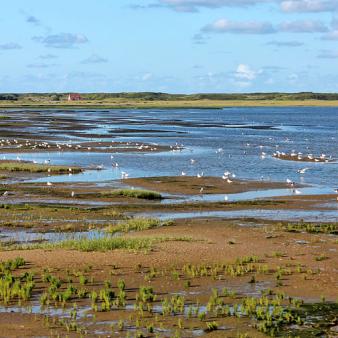 Salinebucht. Foto © Erik Kohl (2017) Salinebucht. Foto © Erik Kohl 2017