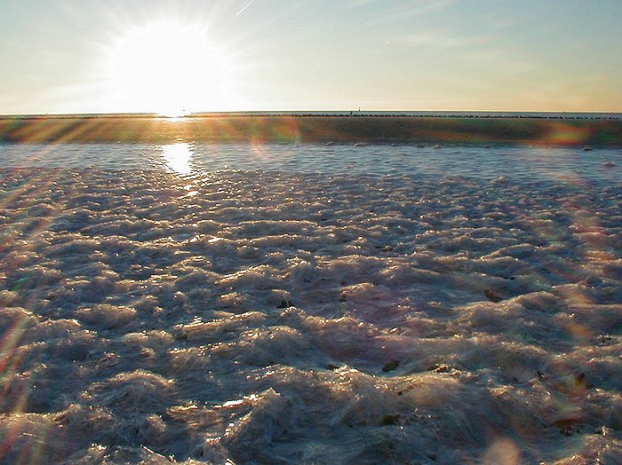 Eis am Strand