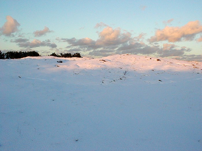 Verschneite Dünen