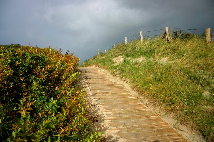 Dünenüberwegung »Saline«