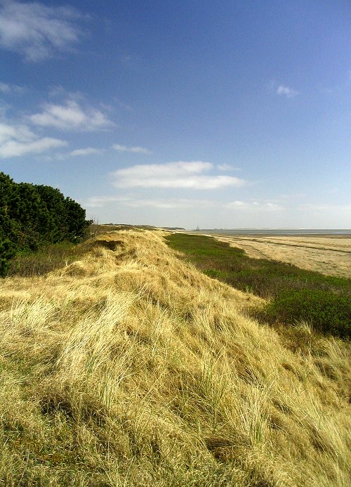 Blick von den Ostdünen