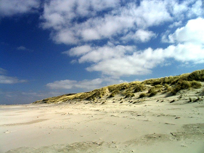 Die Ostdünen