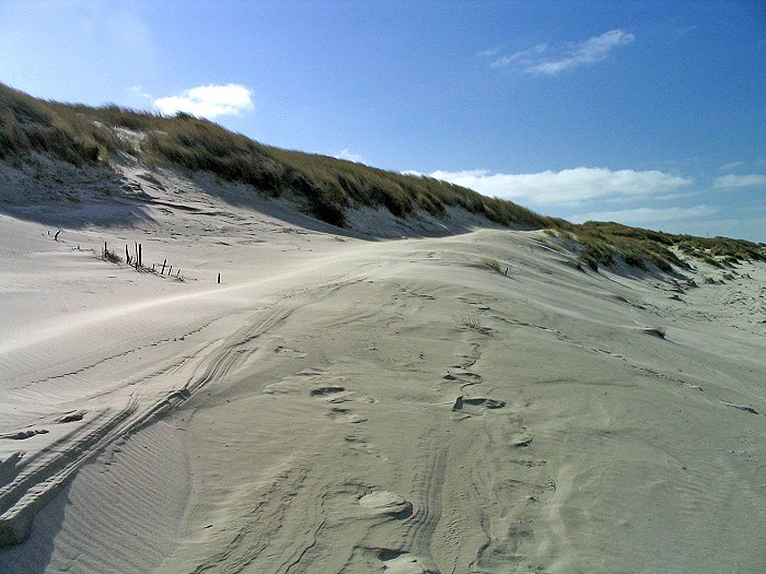 An den Ostdünen