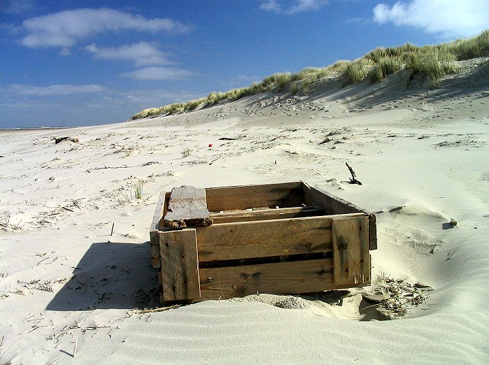 Strandgut