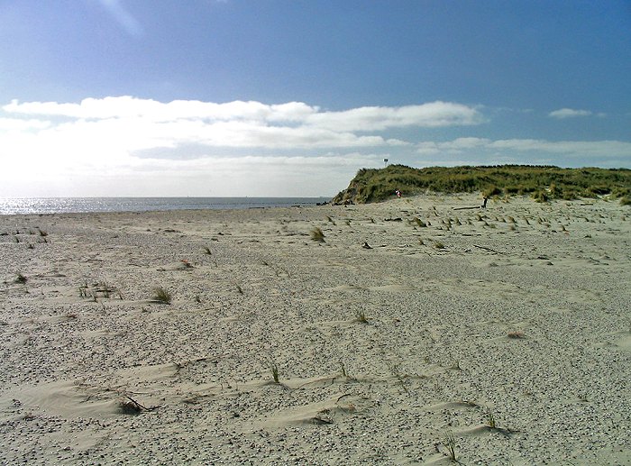 Ostdünen und -strand