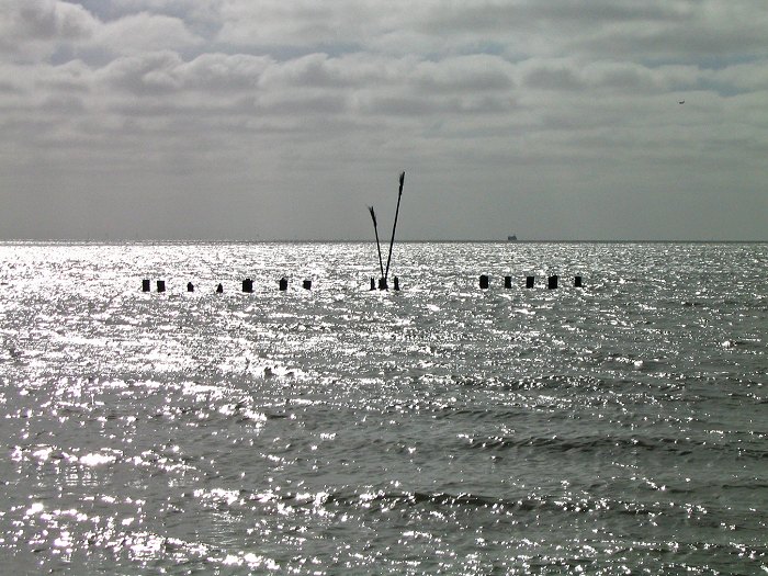 Pricken im Gegenlicht