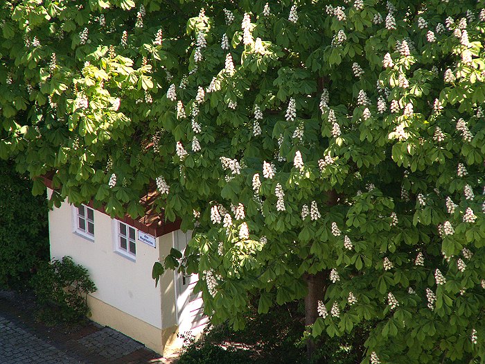 Altes Wiegehäuschen