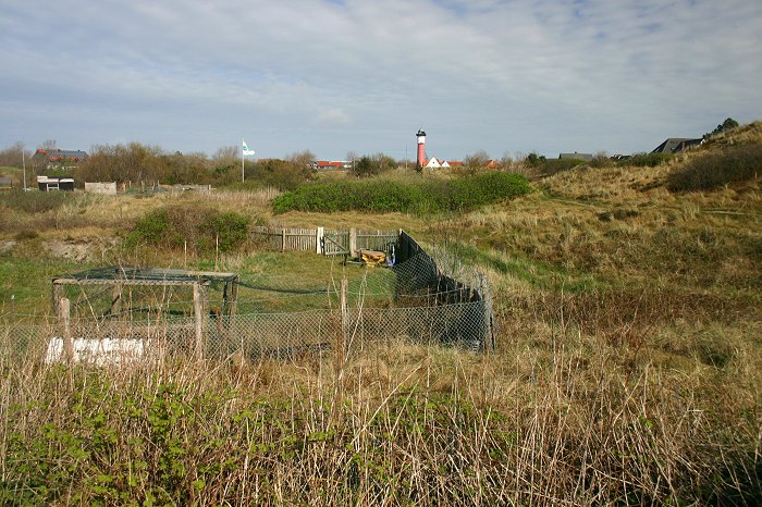 Erlengrund im Frühjahr