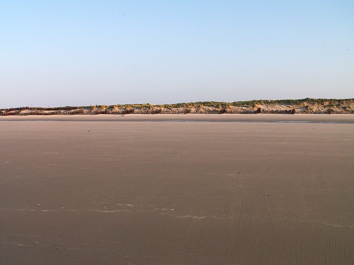 Strand und Dünen am Abend