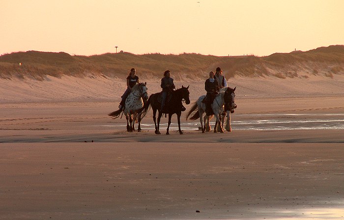 Strand-Reiter