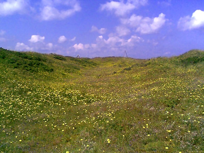 Dünental im Osten