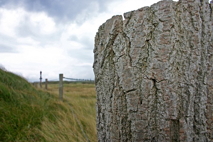 Westinnengroden