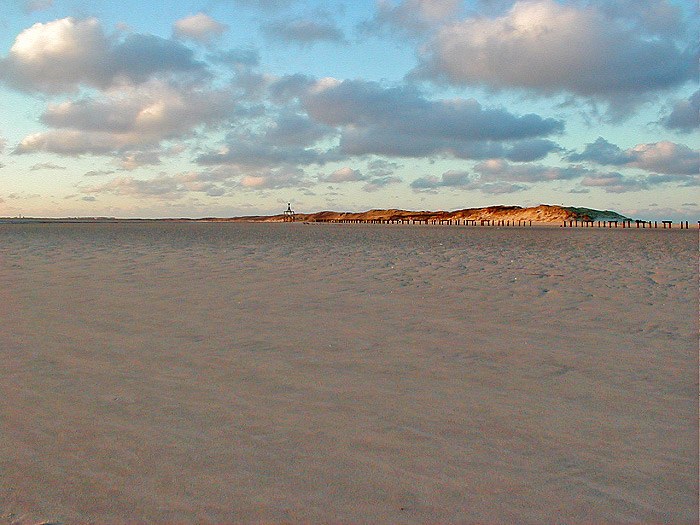 Ostdünen im Abendlicht