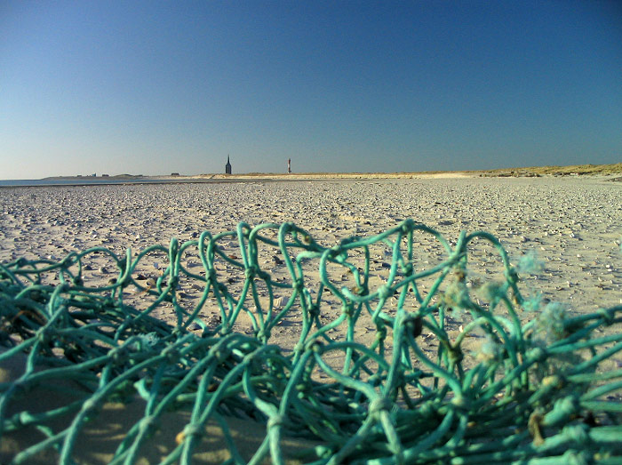 Strandgut