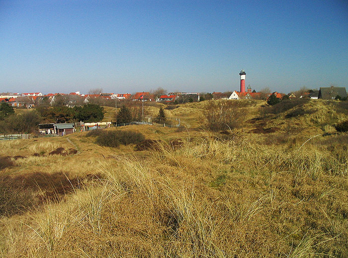 Blick vom Erlengrund zu den Osterdünen