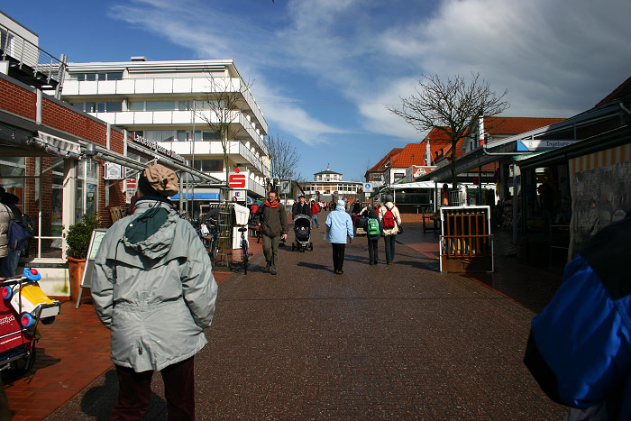Zedeliusstraße im Frühling