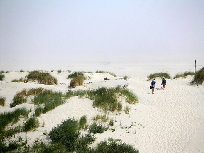 Seenebel am Strand