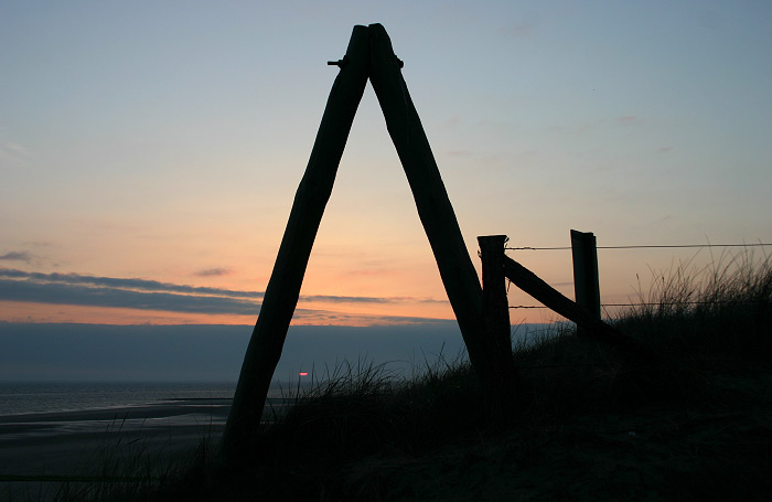 Blaue Stunde in den Dünen