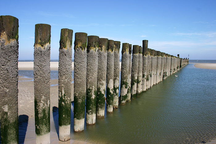 Pfahlbuhne am Surfstrand