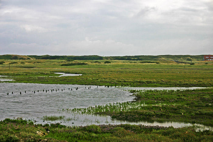Lagune im Westaußengroden