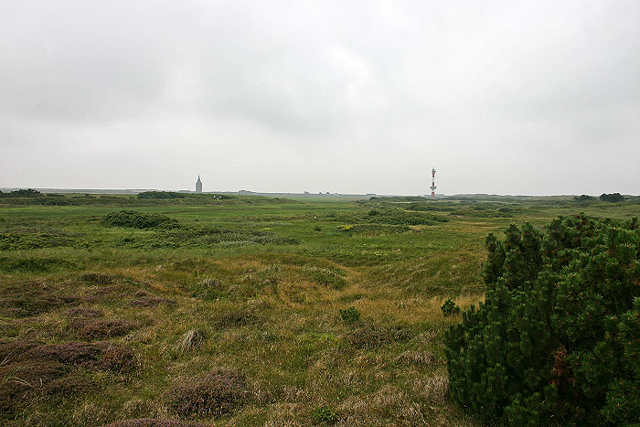 Heidedünen im Westinnengroden