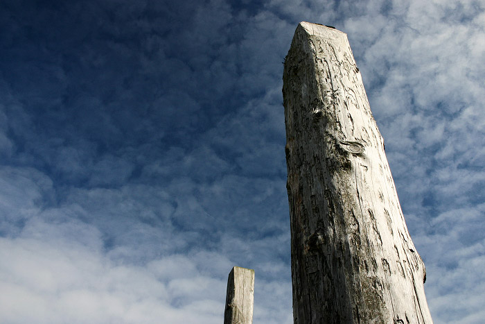 Pfähle in Harlesiel