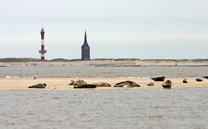 Seehundsbank