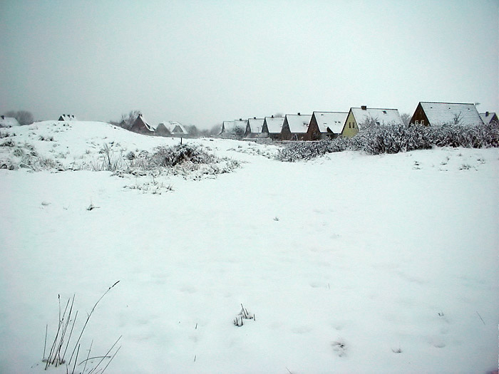 Dünen bei der Siedlerstraße