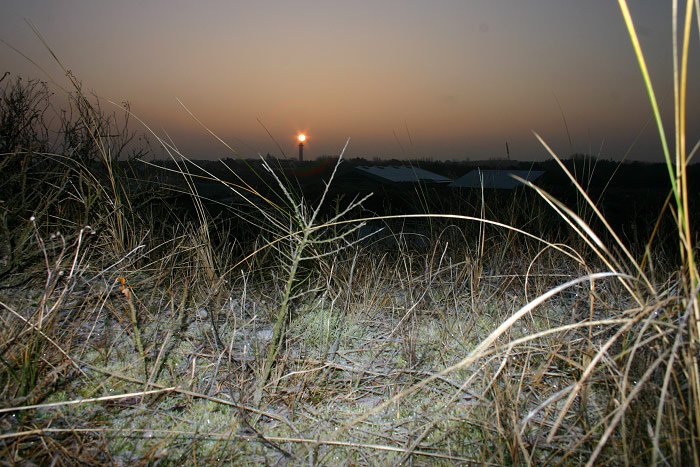 Reifbedeckte Dünen am Morgen