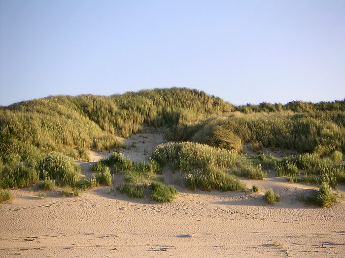 Dünen im Osten