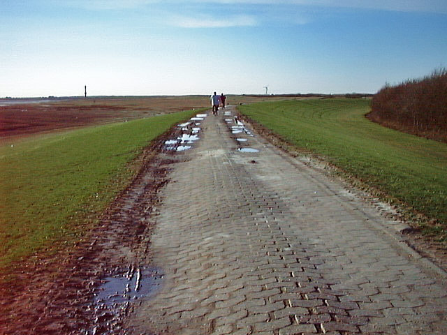Weg auf dem Dorfgrodendeich vor der Instandsetzung