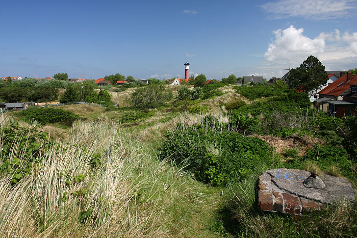 In den Osterdünen