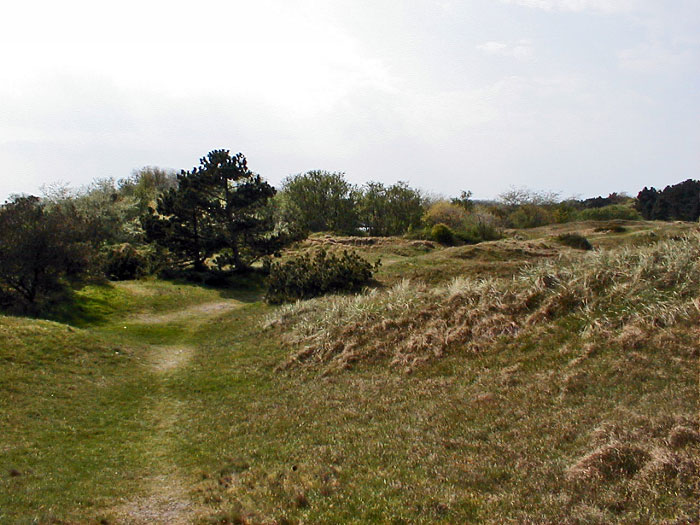 In den Osterdünen