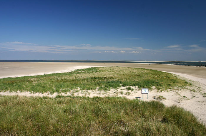 Ostdünen