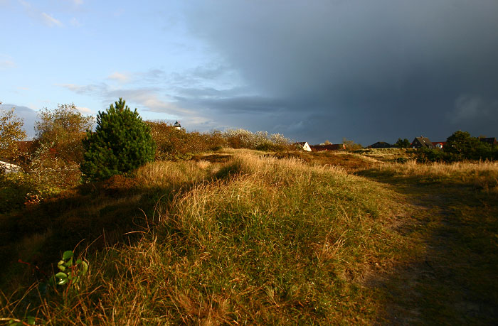 In den Osterdünen