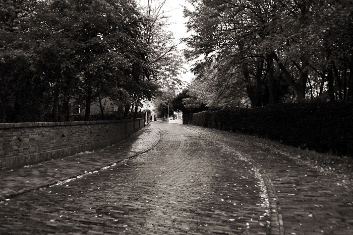 Carstenstraße im Herbst