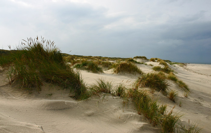 Weißdünenlandschaft