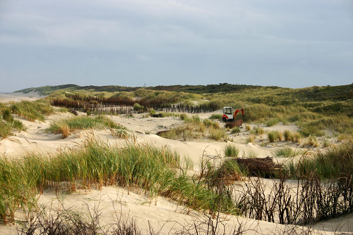 Minibagger in den Dünen