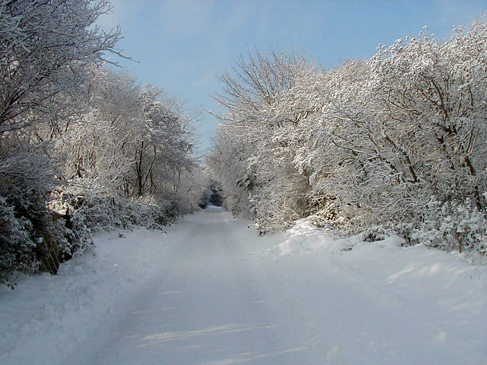 Winterstimmung in der Westenstraße
