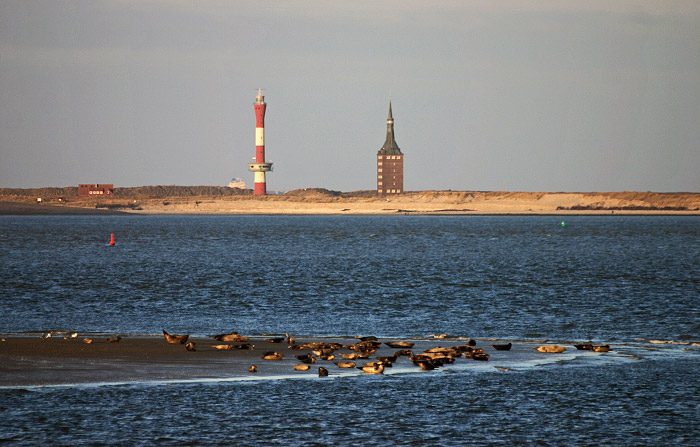 Seehundsbank