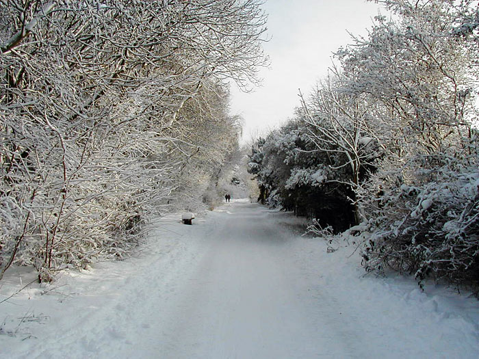 Straße zum Westen im Schnee