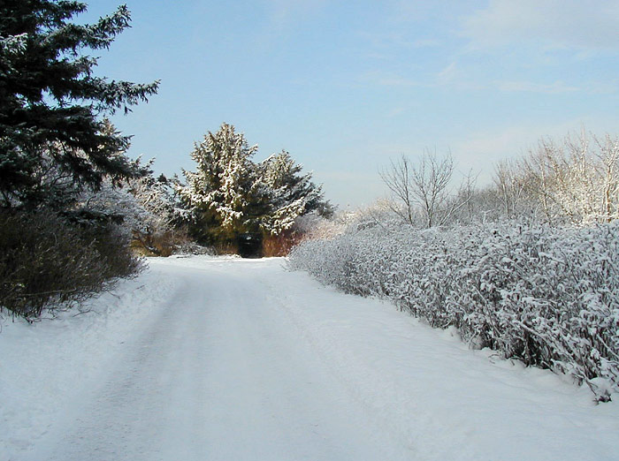 Eingeschneite Straße zum Westen