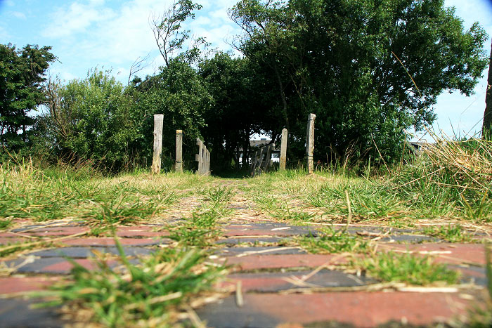 Fußweg zum Deich