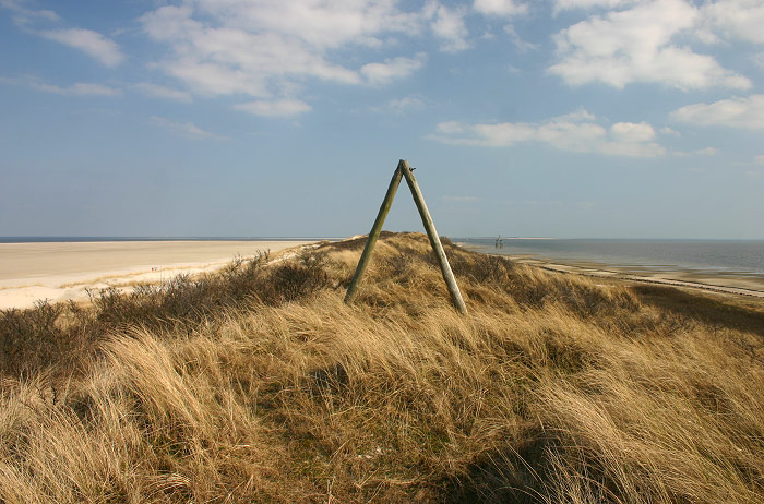 Auf den Ostdünen