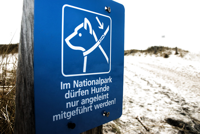 Anleinpflicht