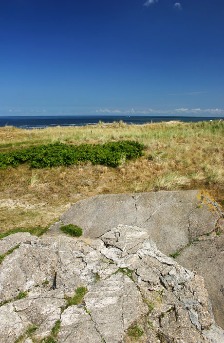 Bunkerreste in den Dünen