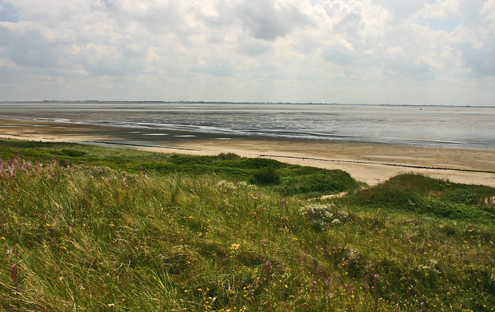 Niedrigwasser im Wattenmeer