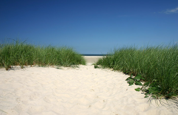 Strand und Dünen