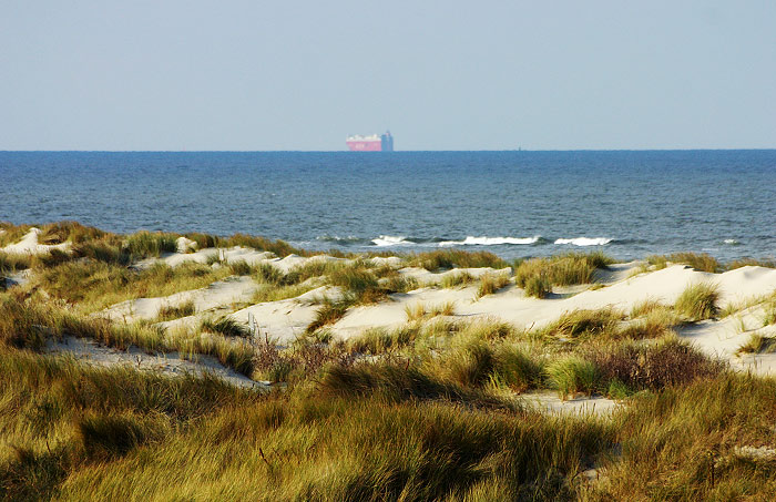 Dünenlandschaft